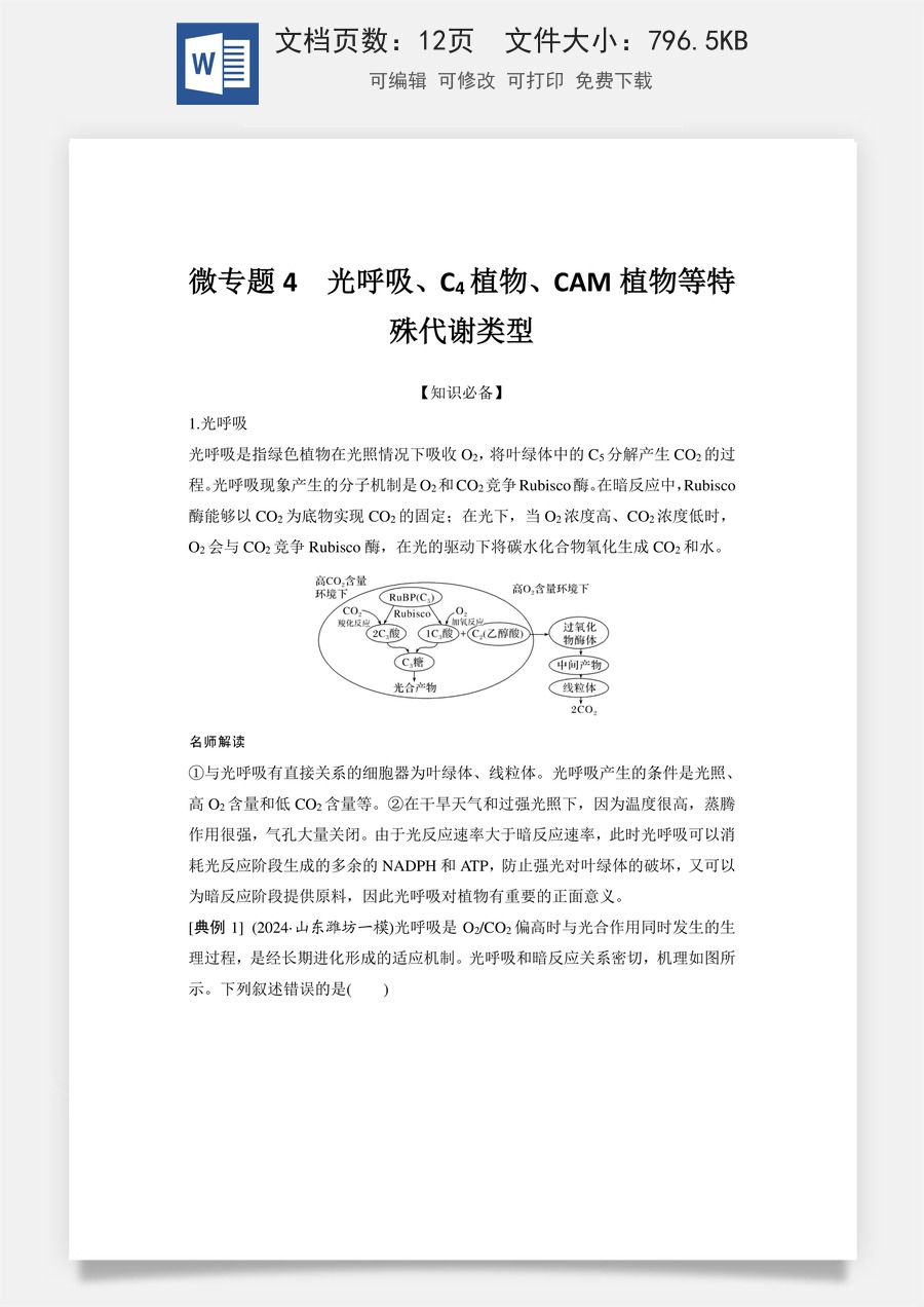 高中-高考总复习-生物-微专题4　光呼吸、C4植物、CAM植物等特殊代谢类型.doc